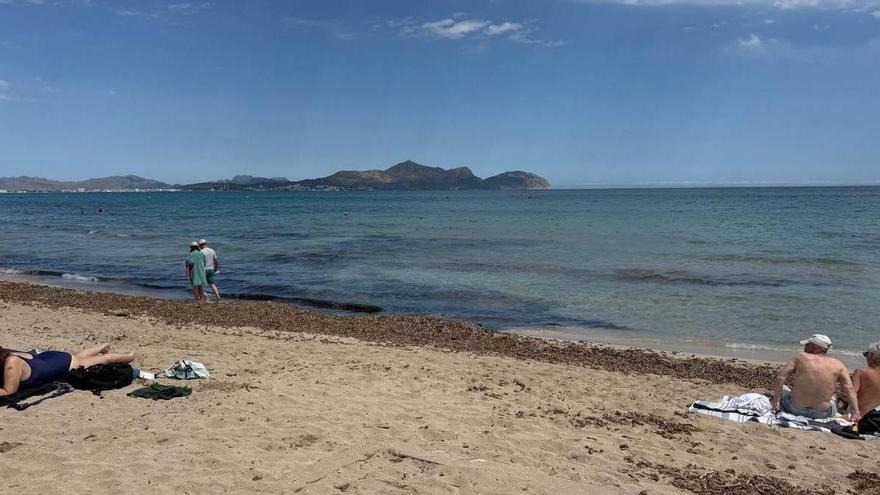 El sector empresarial de Can Picafort denuncia la situación "insostenible" de las playas