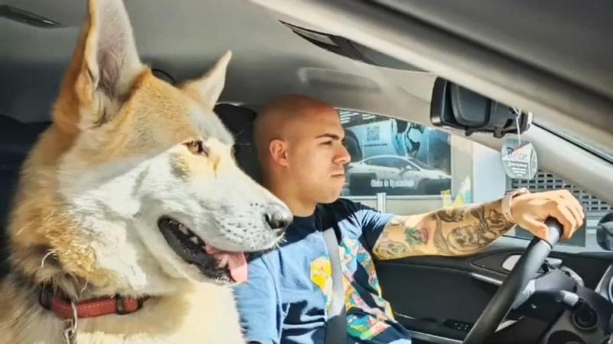 El taxista Coke llevando a uno de sus clientes peludos por las calles de Vigo.