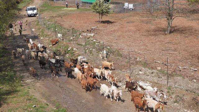 Explotación de la aldea modelo de Xacebáns, en Quintela de Leirado. | // FERNANDO CASANOVA