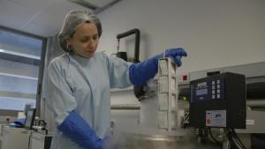 Laboratorio de procesamiento de la sangre de cordón umbilical en el Banc de Sang i Teixits.