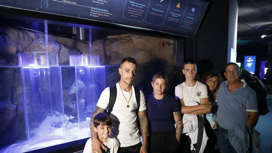 De las playas al Acuario: las carabelas portuguesas atraen a cientos de turistas