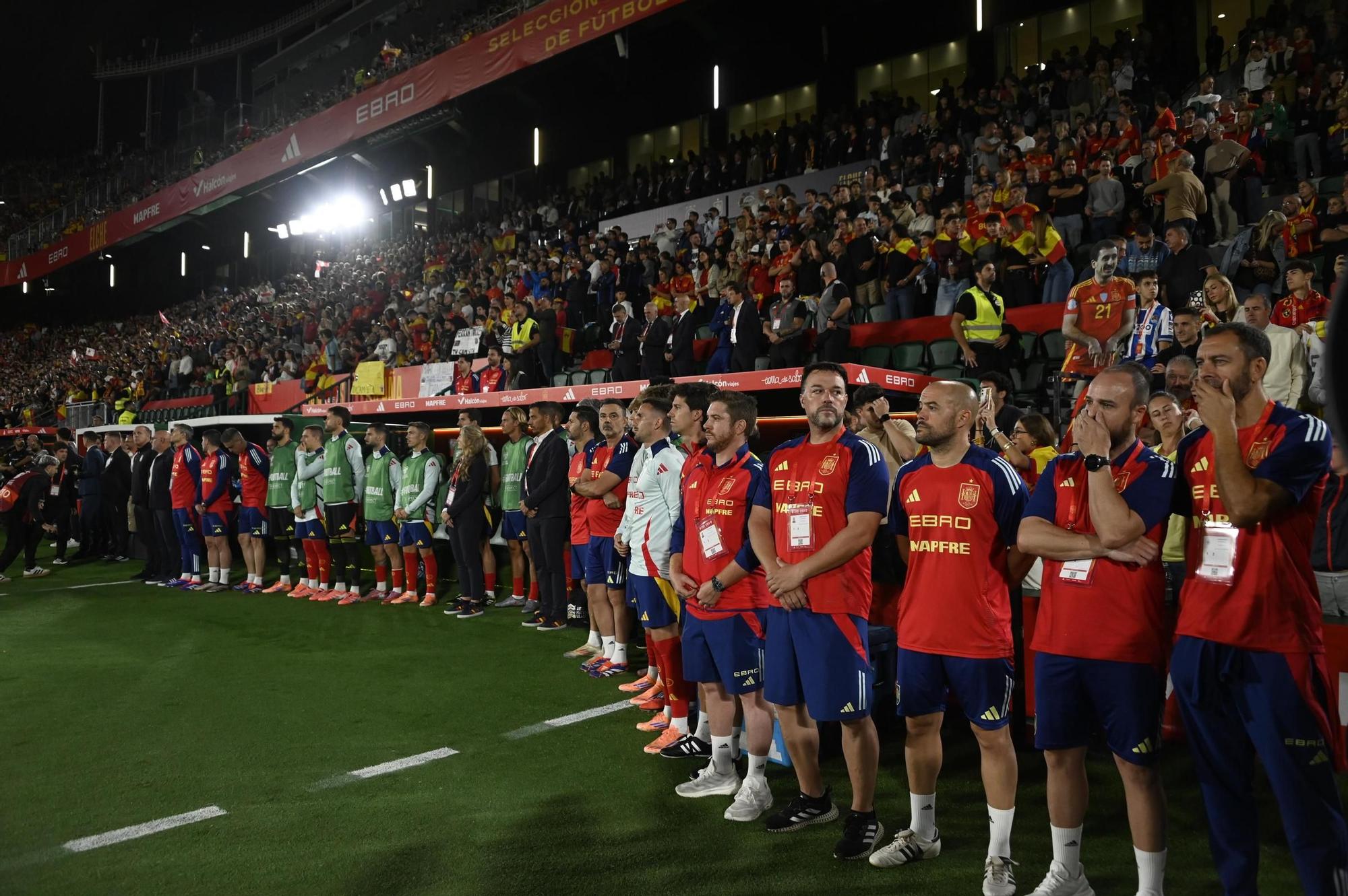 España - Georgia, en imágenes