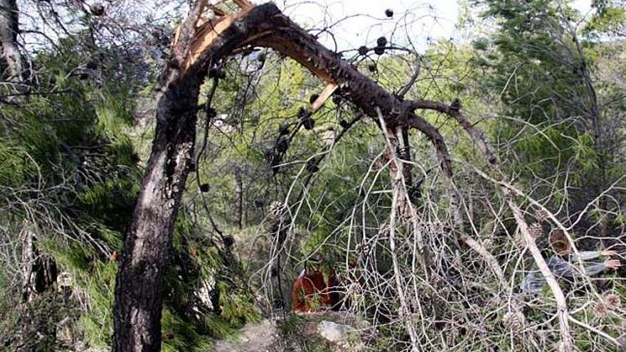 Penàguila recupera el Jardín de Santos