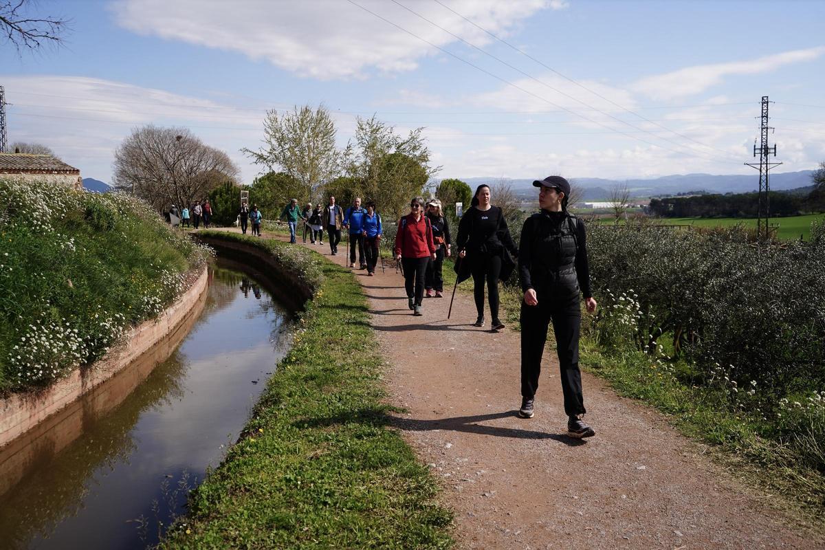 Una imatge de caminadors a l'última edició de la Transéquia