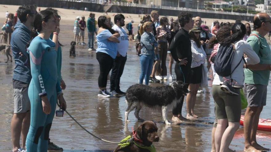 Ambiente en la playa de Salinas durante el pasado campeonato de surf para perros. | María Fuentes
