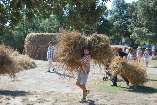 Festa del Segar i el Batre