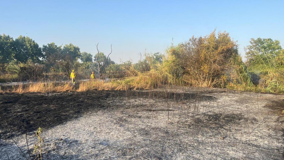 Vídeo | Incendio en la Ribera del Marco de Cáceres