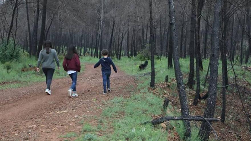 La Generalitat sigue sin resolver el &#039;polvorín&#039; en el interior de Castellón