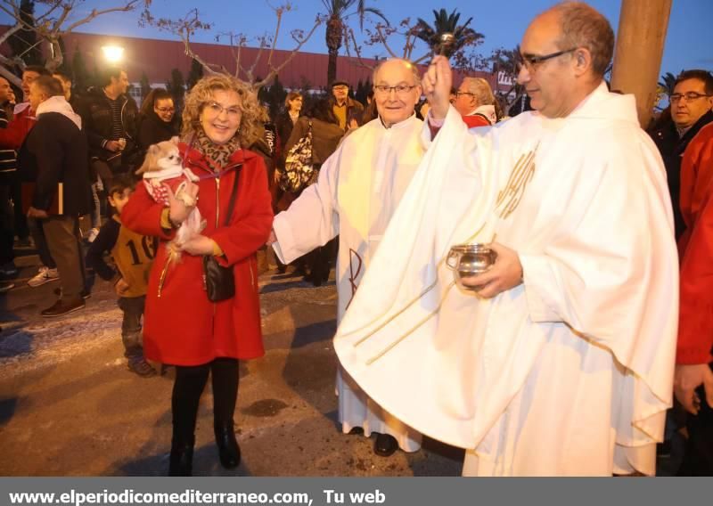 Sant Antoni en la provincia de Castellón