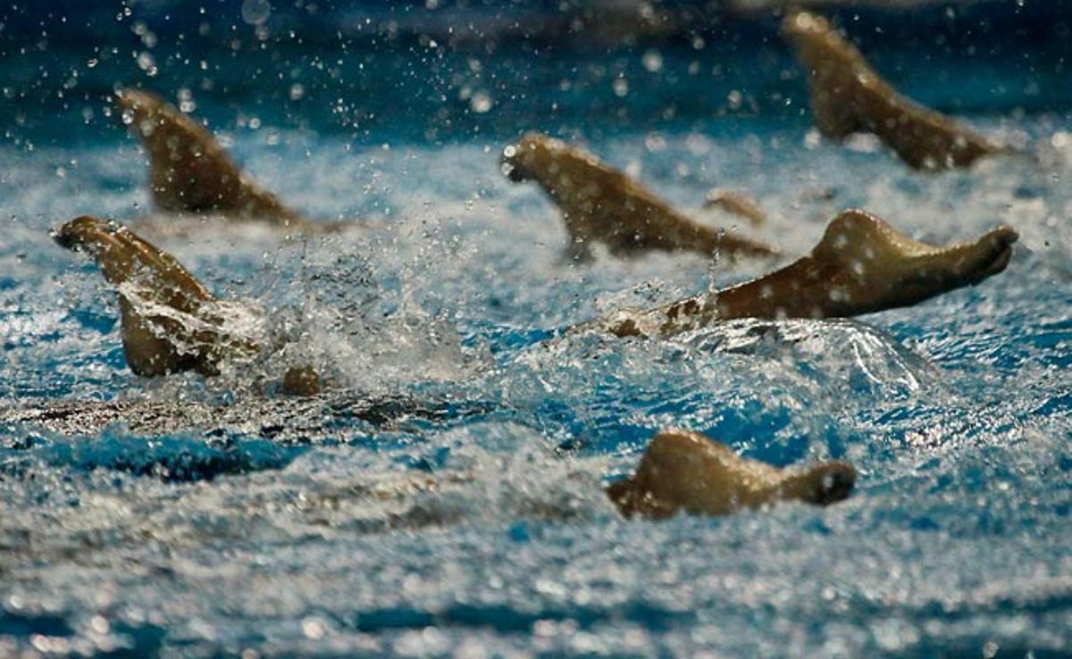 L’equip de natació sincronitzada brasiler es prepara per als Mundials de natació al pavelló esportiu de Xangai oriental, la Xina.