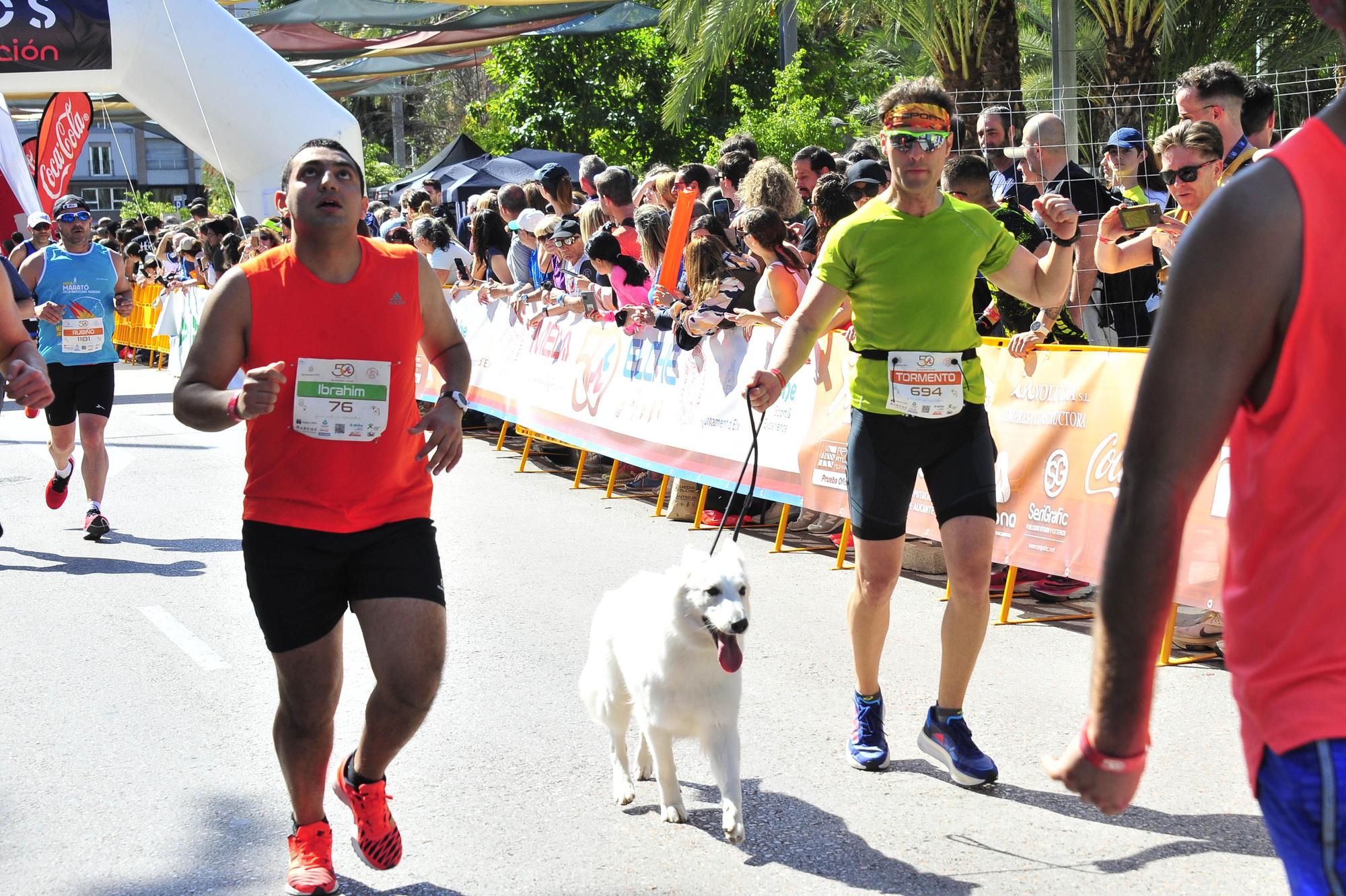 Un Medio Maratón de Elche marcado por el calor