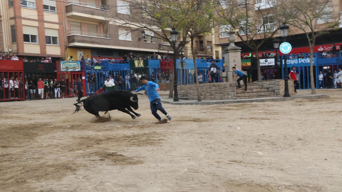 La plaza de San Roque acoge el recinto de cadafales donde se sueltan a los toros en la Pascua Taurina.