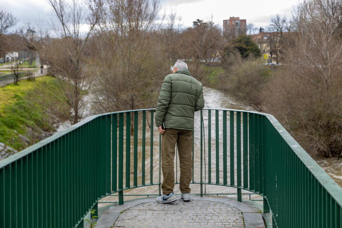 Un vecino de la colonia del Manzanares observa la crecida el río a su paso por el Puente de los Franceses.