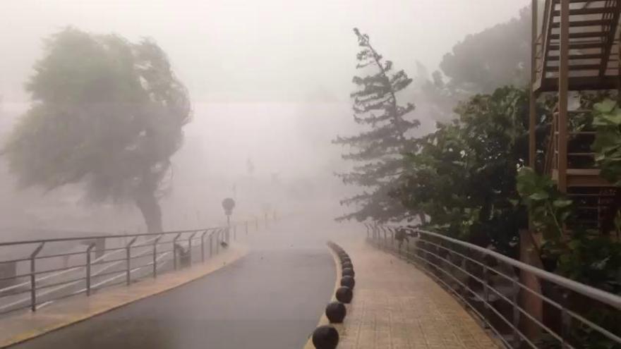 Xàtiva sufre rachas de viento 110 km/h