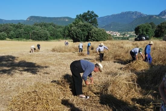 Festa del Segar i el Batre