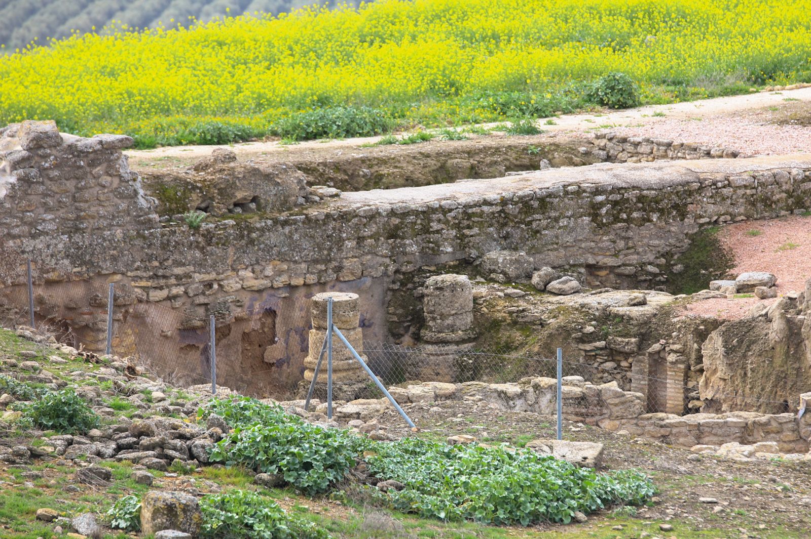 Sale a la luz un anfiteatro romano en Ategua