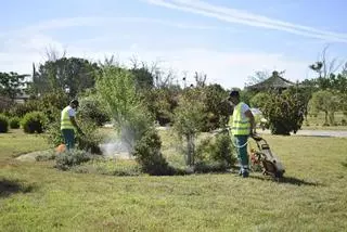 Los Palacios se une a la lucha contra el virus del Nilo con una campaña de fumigación y control de vectores