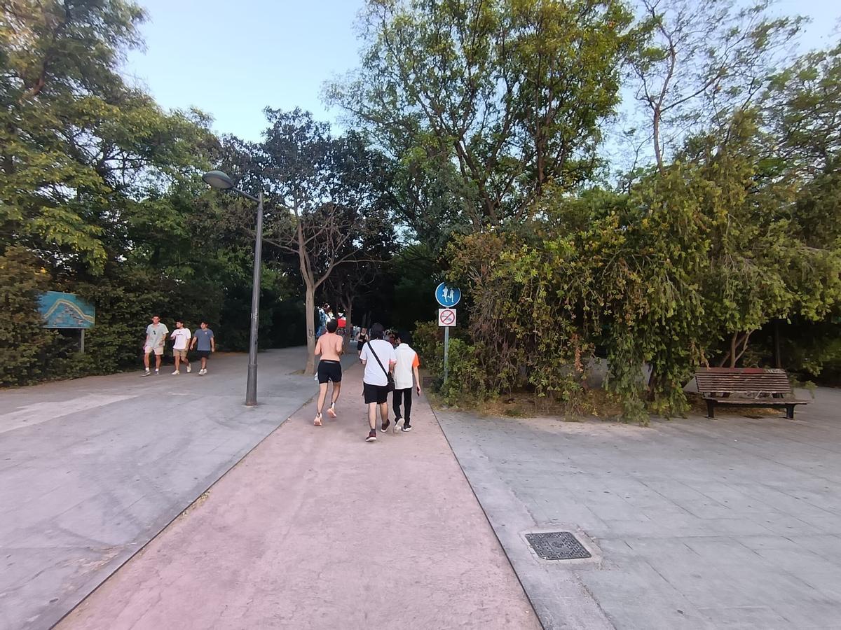 El Circuit 5K, esta semana.