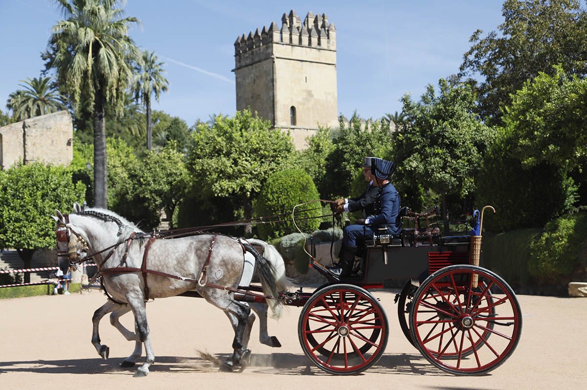 Concurso de atalaje de Córdoba en Cabalcor