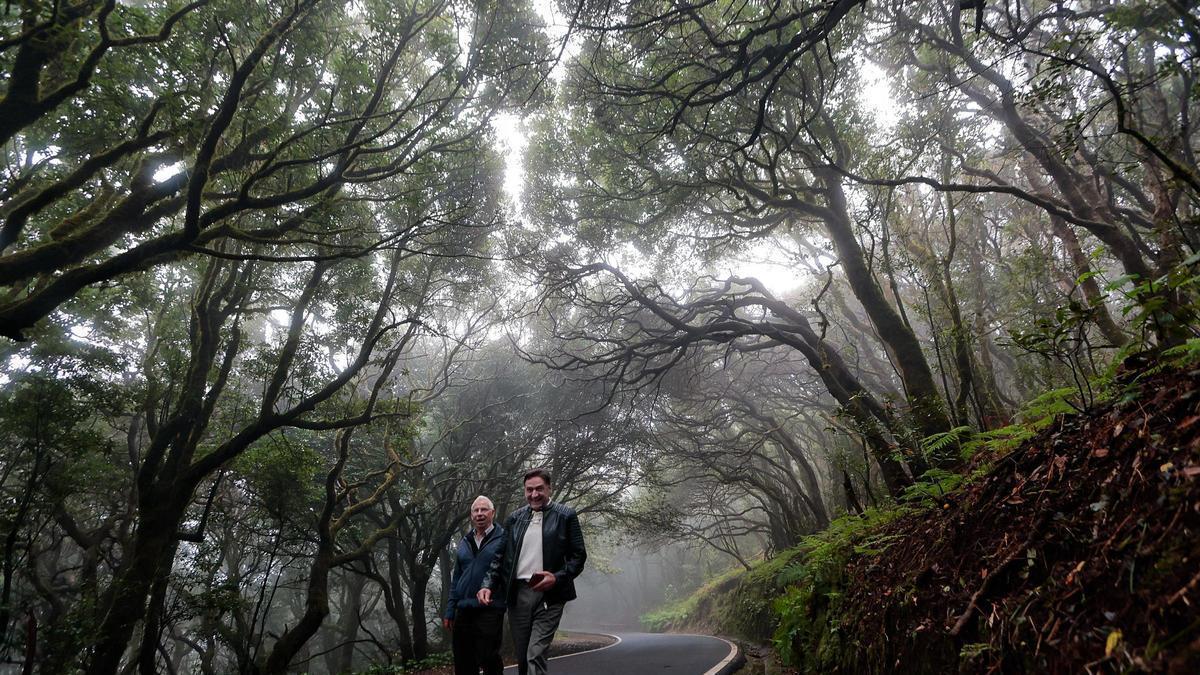 Fulgencio Ramos (i) y Rafael Santana en la carretera que atraviesa el Macizo con niebla y laurisilva.