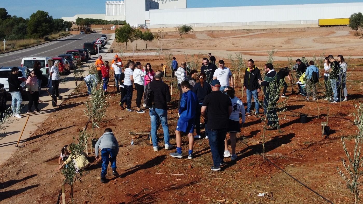 Vecinos y empresas de Onda planta árboles para el bosque olímpico