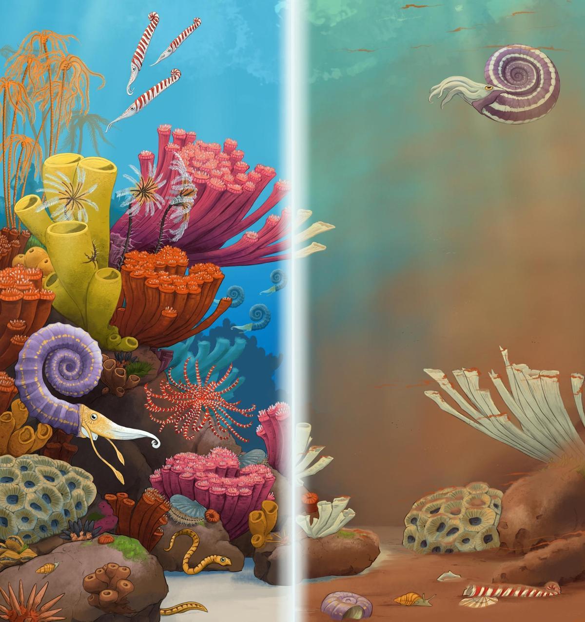 Reconstrucción artística de una escena submarina del Triásico tardío antes (izquierda) y después (derecha) de un evento de extinción relacionado con el cambio climático.