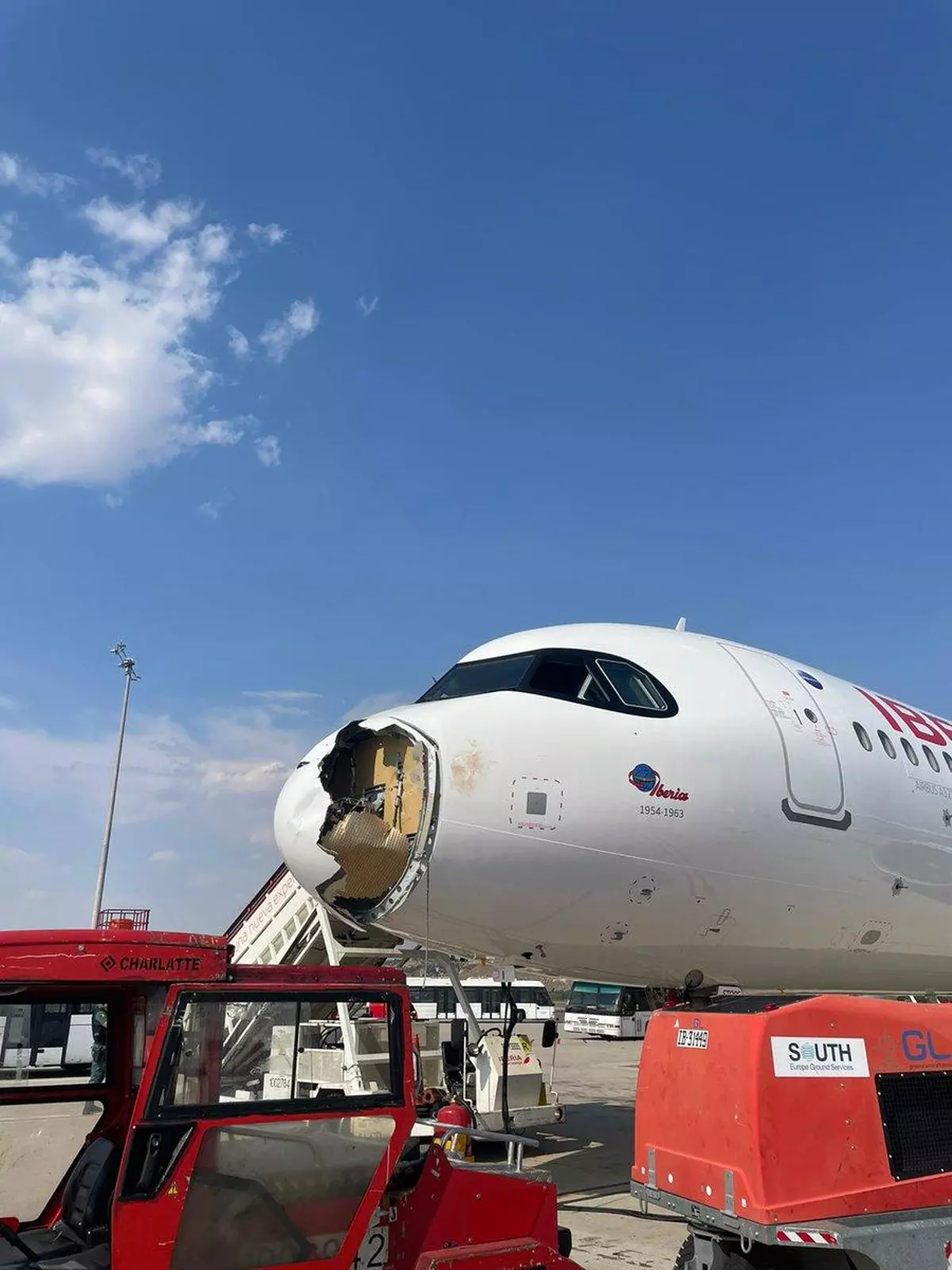 Susto en Barajas: un avión que hacía el trayecto Madrid-París tiene que regresar de urgencia tras chocar con un pájaro de gran tamaño