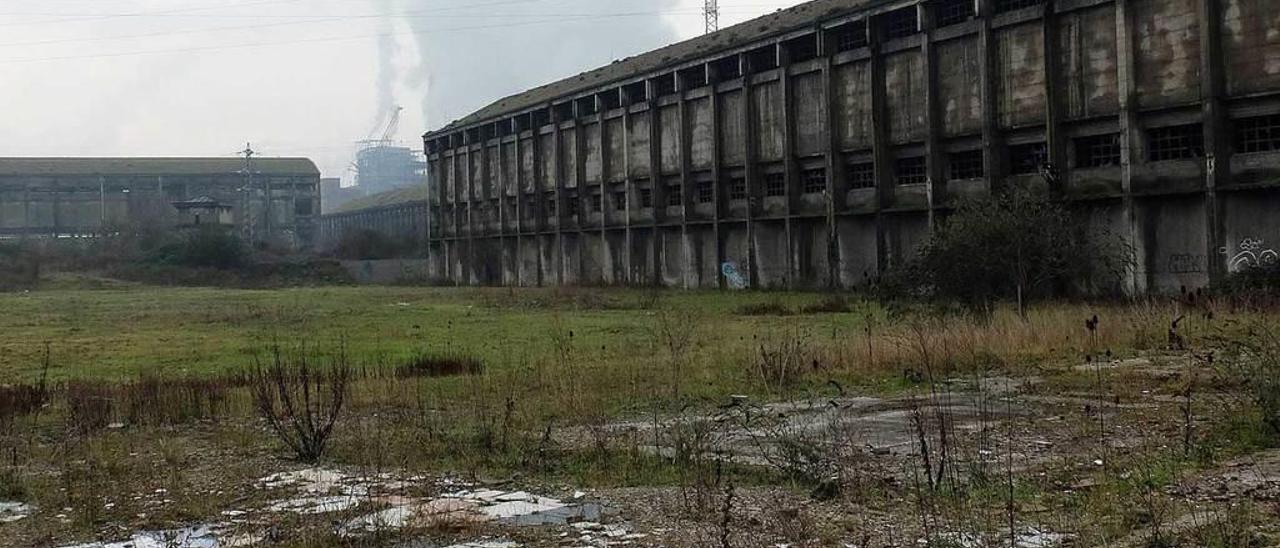 Los terrenos de Nitrastur, en Langreo.