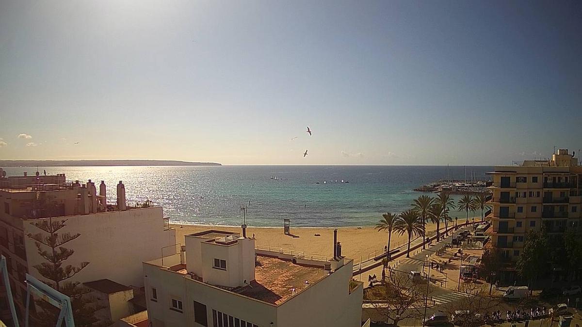 Sonne satt gibt es am Sonntag (20.2.) in der Bucht von Palma.