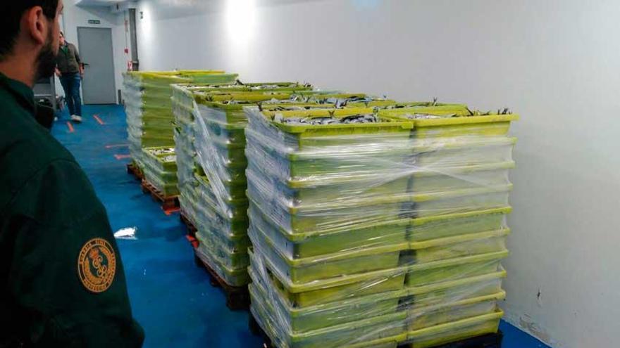 La Guardia Civil decomisa 3.000 kilos de sardina en Camariñas