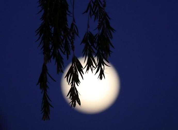 Superluna "de nieve" en Nicosia