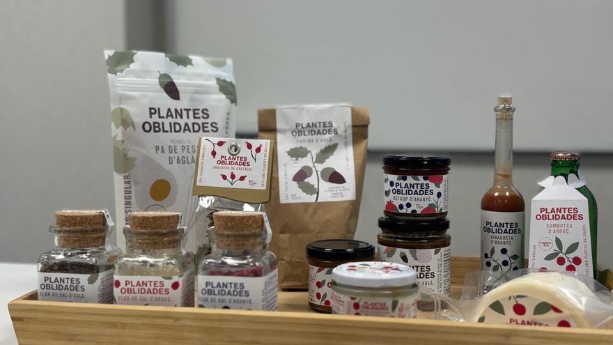 Les plantes oblidades es posen a taula: bolonyesa d’aglà, crackers de gratacul o la kombutxa d’aranyó arriben al mercat