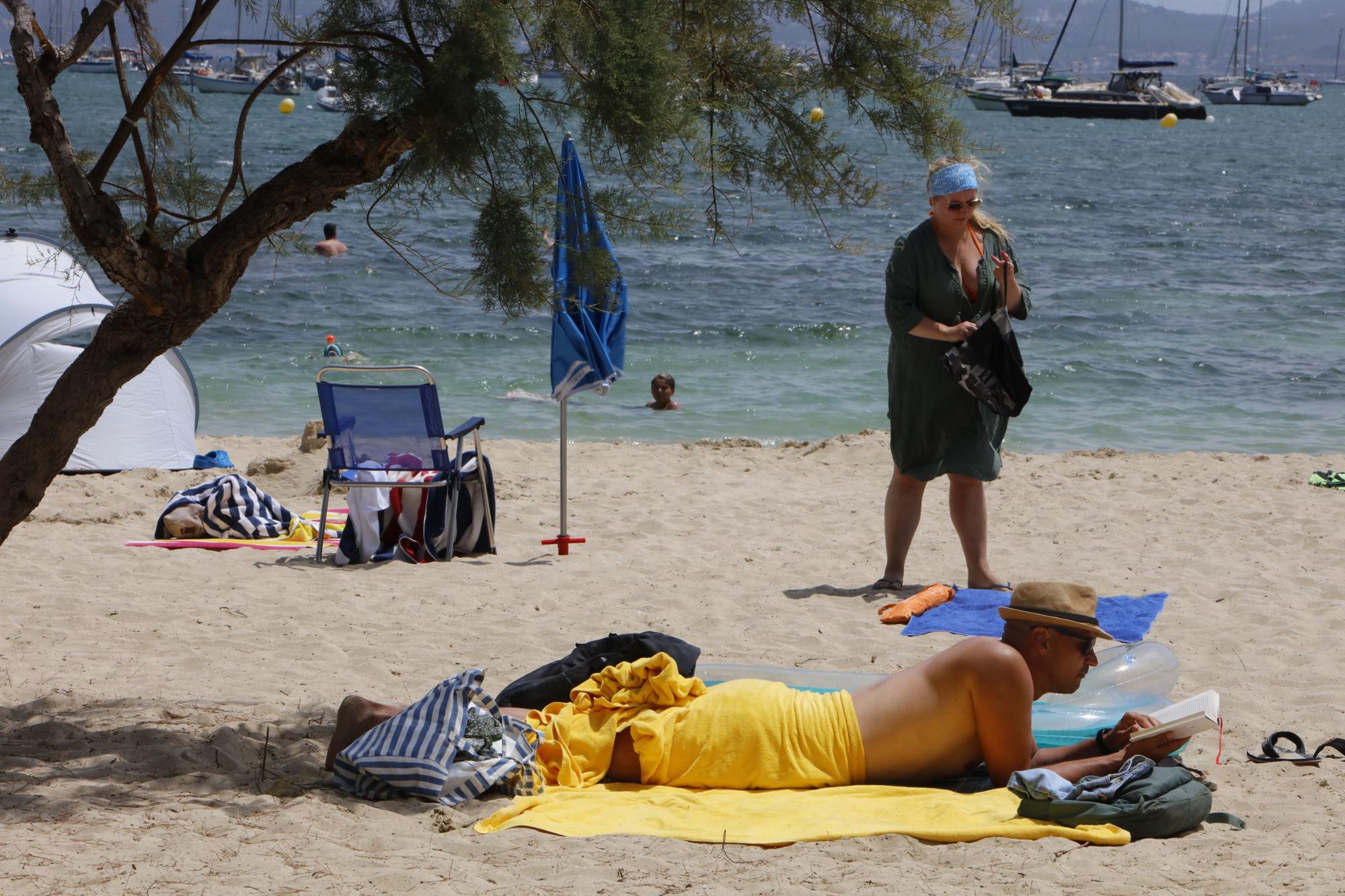 Ausflug nach Port de Pollença – der entspannte Urlaubsort im Norden von Mallorca