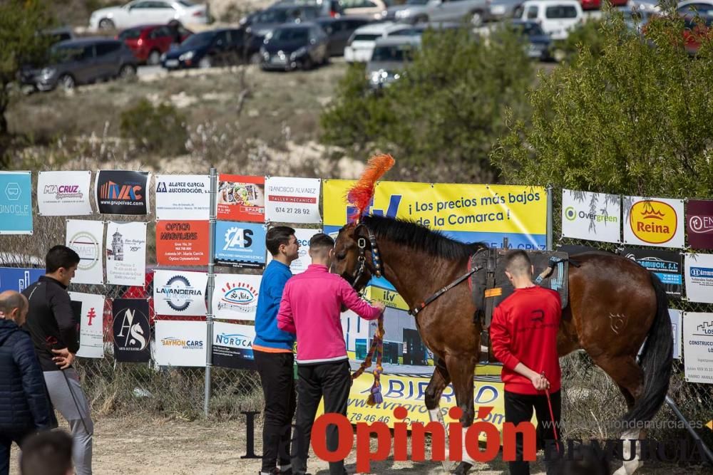 Carrera de entrenamiento de los Caballos del Vino