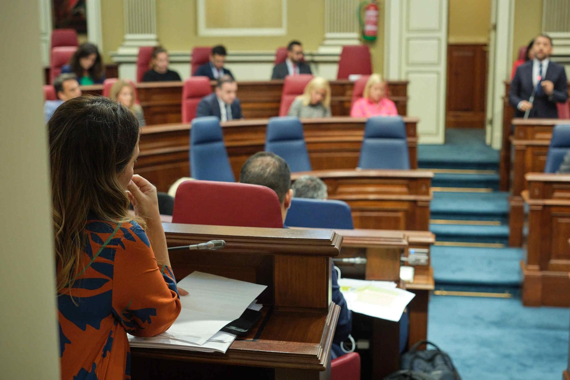Pleno del Parlamento de Canarias (07/11/2023)