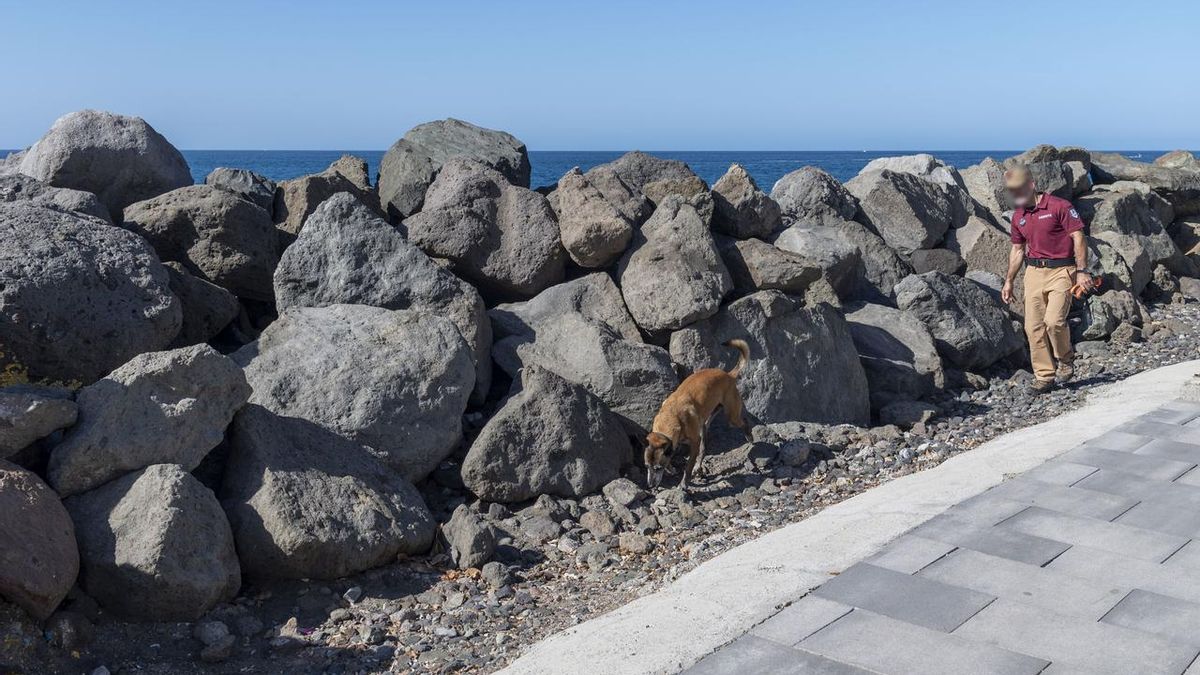 'Tufia', de la unidad canina, y un agente de Medio Ambiente.