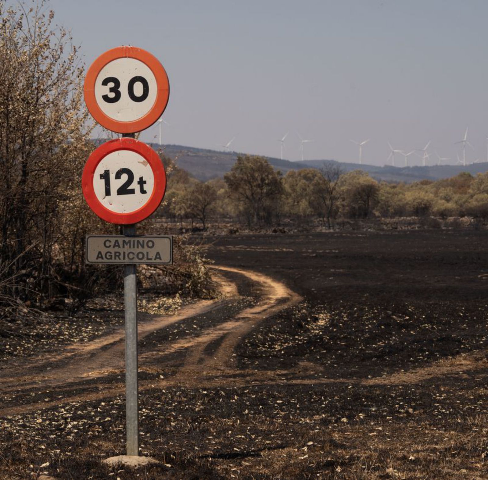 Señal ahumada a la entrada de un camino