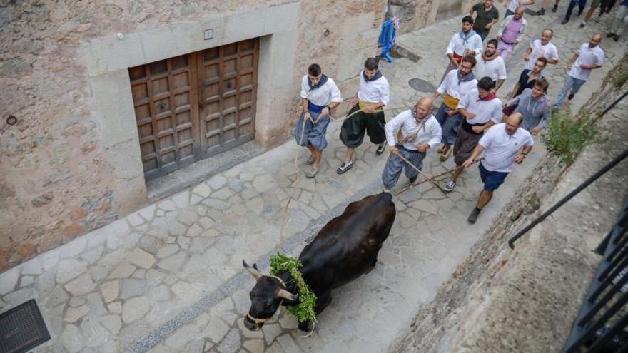 La última edición del ‘correbou’ se realizó en el año 2019, antes de la pandemia.