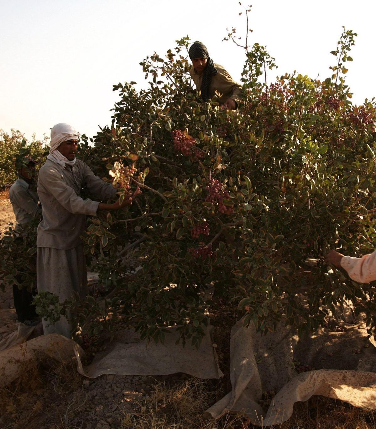 La guerra econòmica que els EUA guanyen a l’Iran