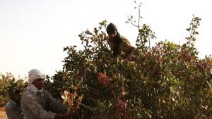La guerra econòmica que els EUA guanyen a l’Iran