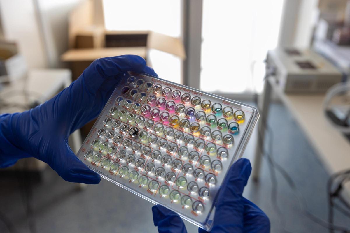 Investigación en virus y bacterias Investigación en virus y bacterias