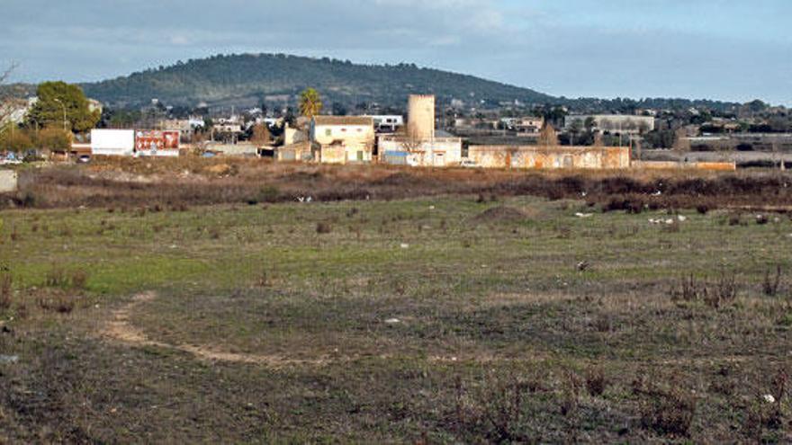 Imagen de la polémica zona verde que confronta con el molino de la Torre Florida .