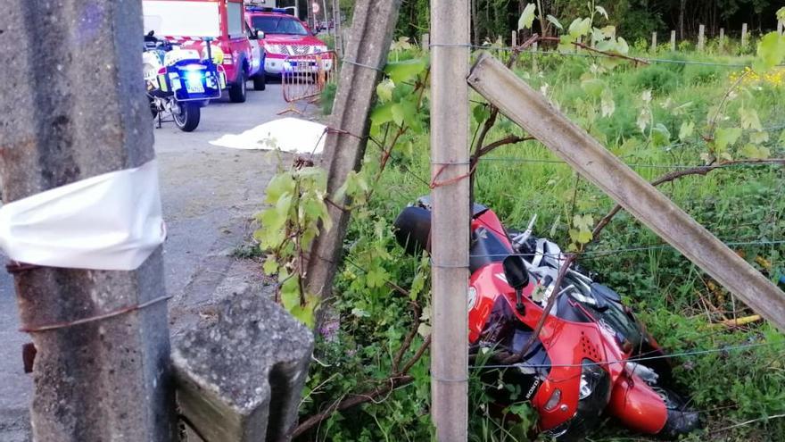 La moto accidentada, en el viñedo. // I. Abella