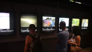 Exposición en el Aquarium Finisterrae: capturas de la belleza del mundo salvaje