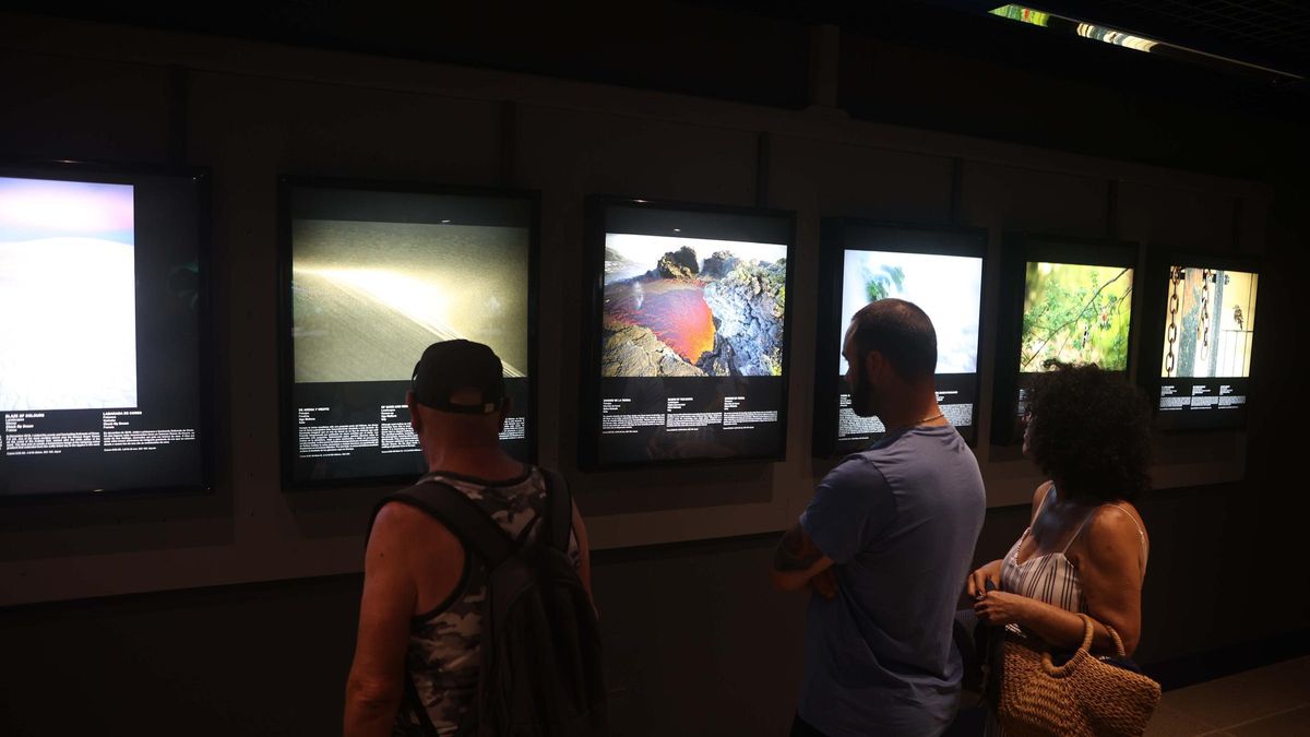 'Fotógrafos/as na natureza' regresa al Aquarium Finisterrae