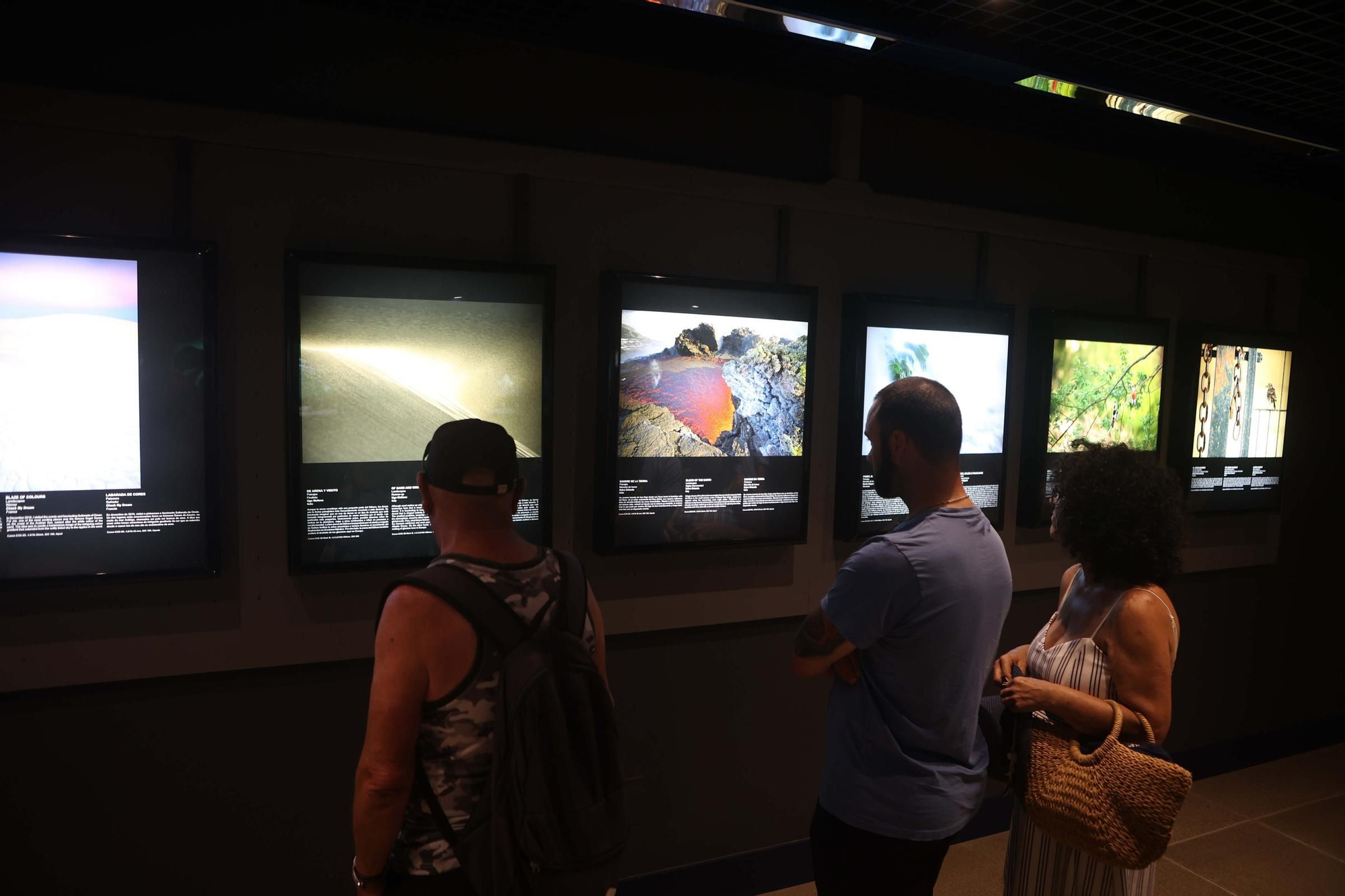 85 fotos forman parte de la exposición 'Fotógrafos na natureza' en el Aquarium