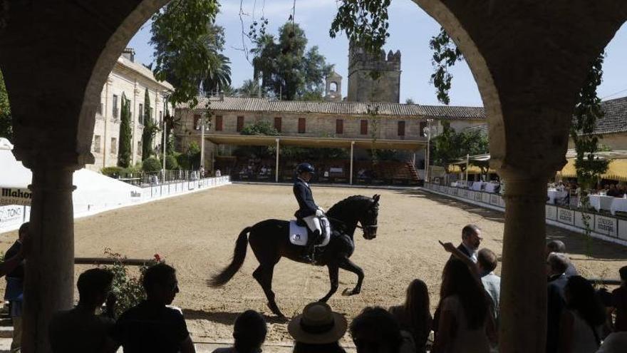 El Concurso Morfológico de Pura Raza Española celebra su segunda jornada en Córdoba con la inauguración oficial de Cabalcor 2026