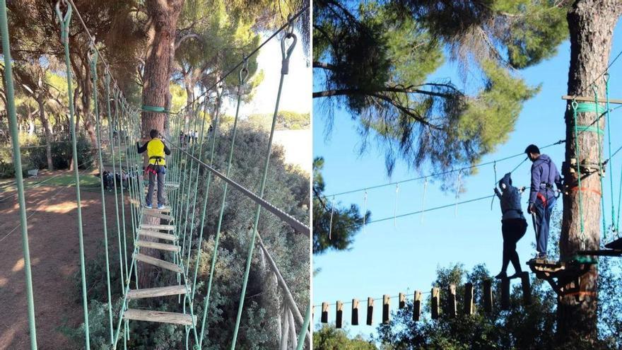 El parque de Sevilla con saltos al vacío, tirolinas y pasarelas entre árboles en el que hacer escalada, paintball y tiro con arco: "Es el primero que se ha montado en Andalucía"