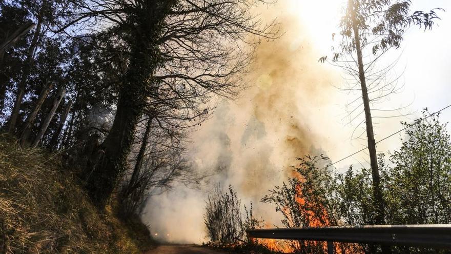 El Principado sospecha que los incendios de la última semana fueron provocados