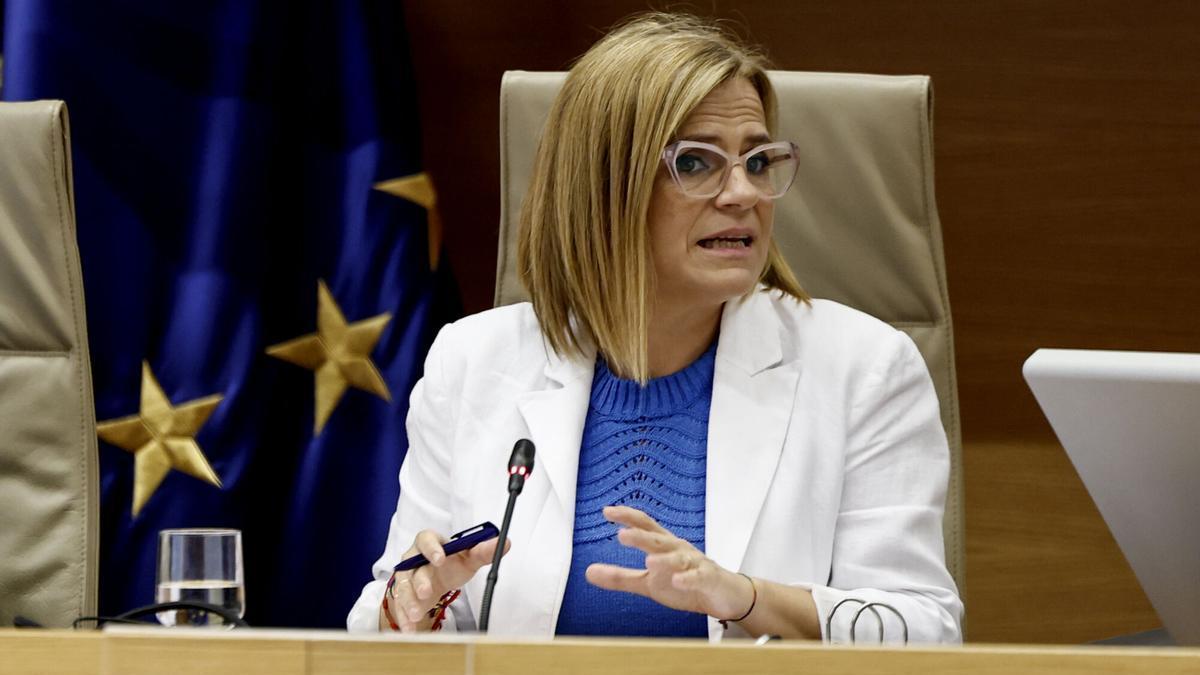 La delegada del Gobierno en la Comunidad Valenciana: Me pasé una hora pidiendo que enviaran el Es Alerta a toda Valencia porque había pasado lo de Paiporta